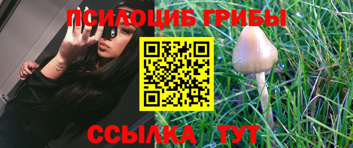 Выкса  Галлюциногенные грибы Magic Shrooms  Вход с VPN  Псилоцибиновые грибы Psilocybe 