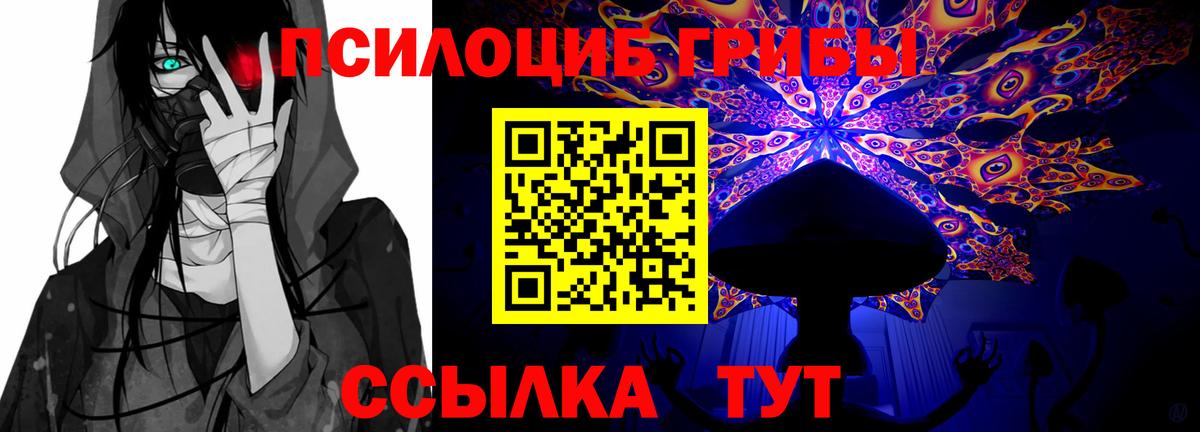 Псилоцибиновые грибы Cubensis Выкса